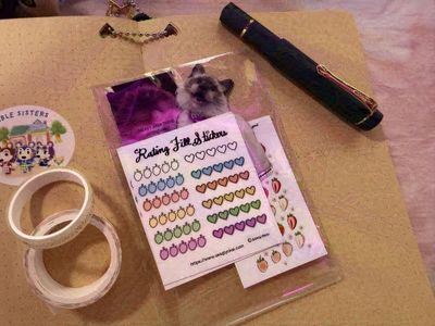 Cute Myster Grab Bag!