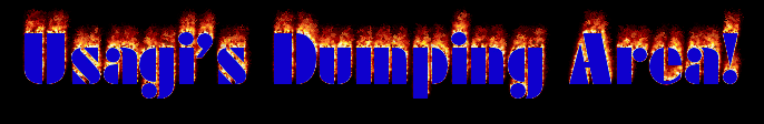 Usagi's Dumping Area in flames